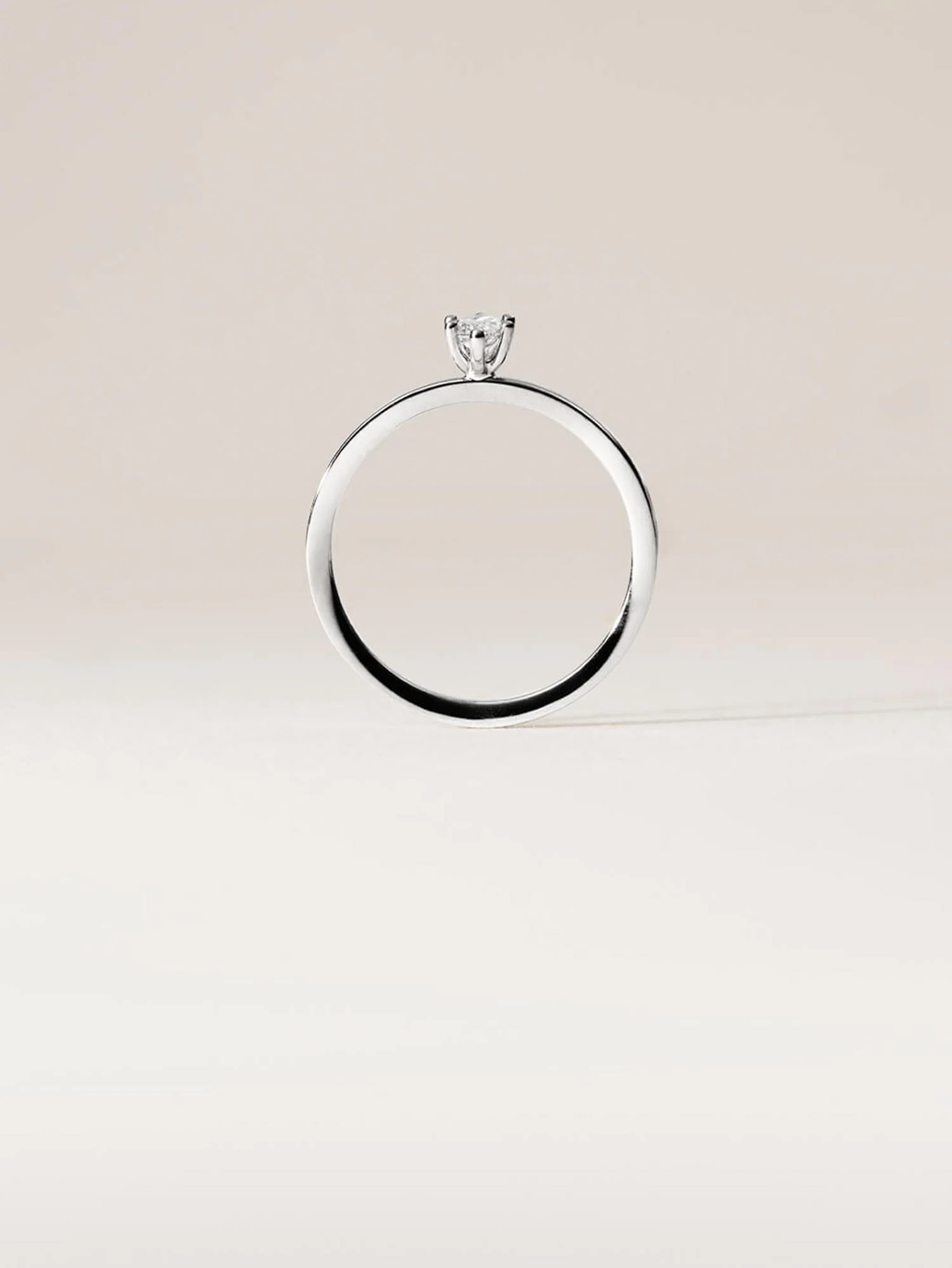Ring Rosy - Image 4